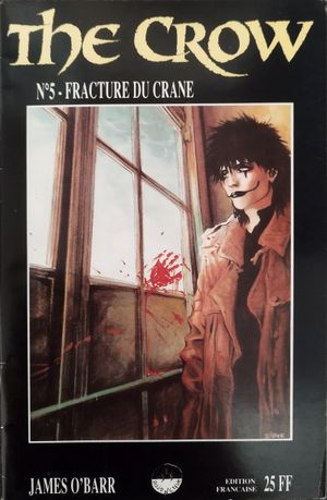 Fracture du crâne - The Crow, tome 5