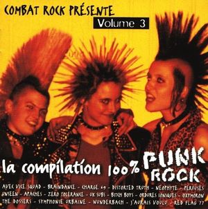 La compilation 100% punk-rock, Volume 3