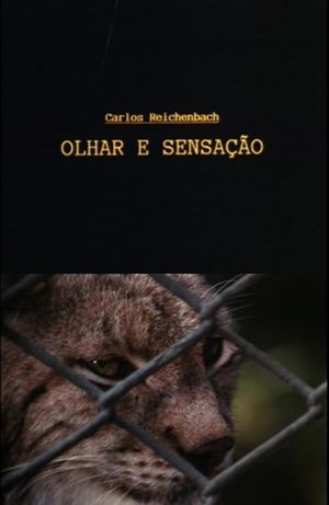 Olhar e Sensação