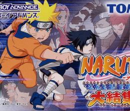 image-https://media.senscritique.com/media/000022434502/0/naruto_ninja_council.jpg