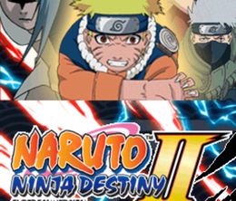 image-https://media.senscritique.com/media/000022437033/0/naruto_ninja_destiny_ii_european_version.jpg