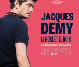 image-https://media.senscritique.com/media/000022438778/0/jacques_demy_le_rose_et_le_noir.webp