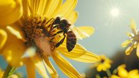 Peut-on remplacer les pollinisateurs ?