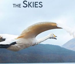 image-https://media.senscritique.com/media/000022440626/0/david_attenborough_s_conquest_of_the_skies.jpg