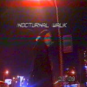 Ｎｏｃｔｕｒｎａｌ Ｗａｌｋ