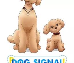 image-https://media.senscritique.com/media/000022441876/0/dog_signal.webp