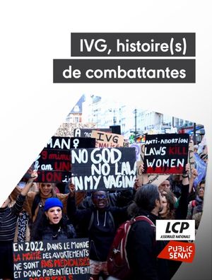 IVG, histoire(s) de combattantes