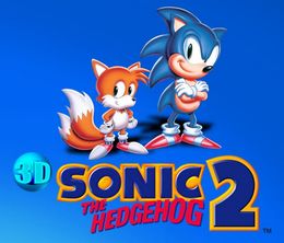 image-https://media.senscritique.com/media/000022443876/0/3d_sonic_the_hedgehog_2.jpg