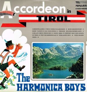 Accordeon in Tirol