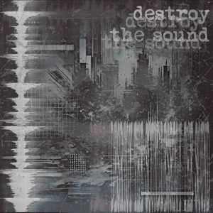 destroy the sound (Single)