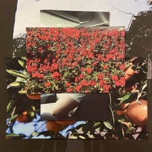 Orlando (Single)