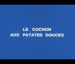 image-https://media.senscritique.com/media/000022448015/0/le_cochon_aux_patates_douces.jpg