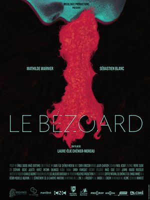 Le Bézoard