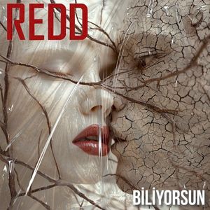 Biliyorsun (Single)