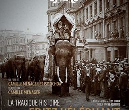 image-https://media.senscritique.com/media/000022451258/0/la_tragique_histoire_de_fritz_l_elephant.jpg