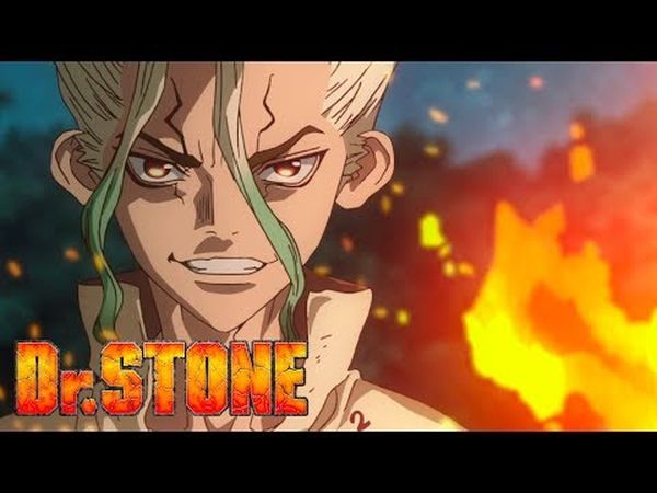 Dr. Stone