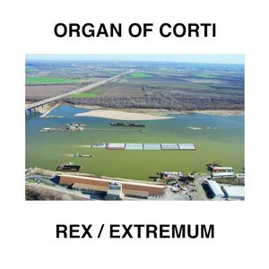 Rex / Extremum (Single)