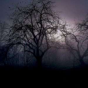 Too Far (Single)