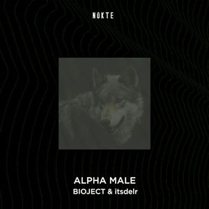 Alpha Male (Single)