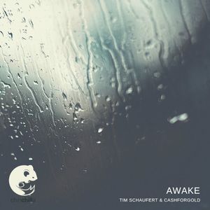 Awake (Single)