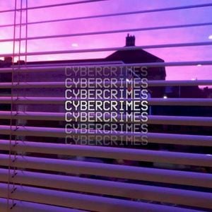 Cybercrimes (Single)