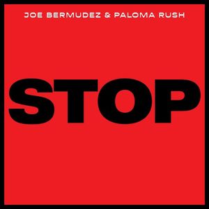 Stop (extended mix instrumental)