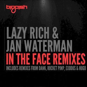 In the Face Remixes