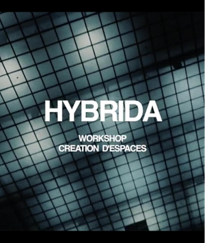 Hybrida 7