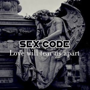 Love Will Tear Us Apart (Single)