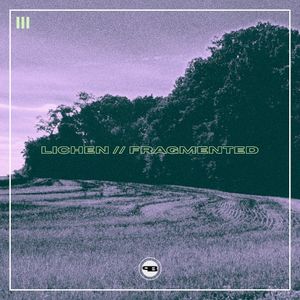 lichen // fragmented (Single)