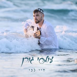 חיי לבי (Single)