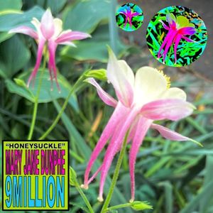 Honeysuckle (Single)