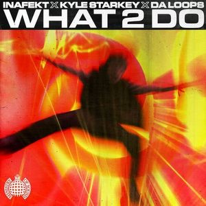 What 2 Do (extended) (Single)