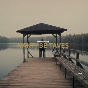 Naktį be tavęs (Single)