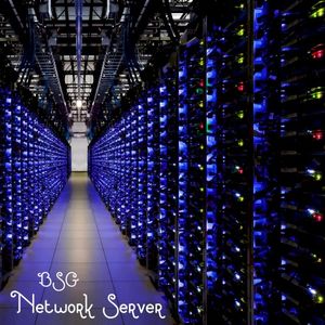 Network Server (Single)