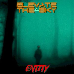 Entity (Single)