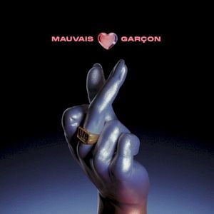 Mauvais garçon (Single)