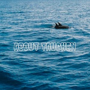 About Tauchen (Single)