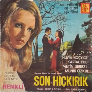 Hayat Sevince Güzel / Son Hıçkırık (Single)