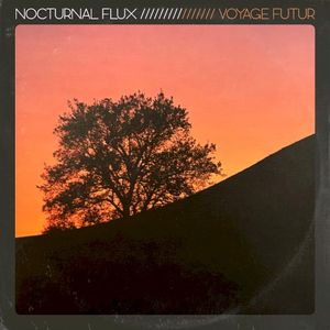 Nocturnal Flux (Single)