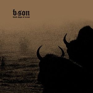 b.son (Black Shape of Nexus)