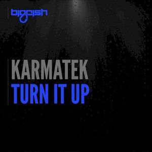 Turn It Up (Single)