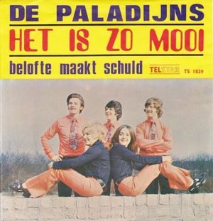 Het is zo mooi (Single)