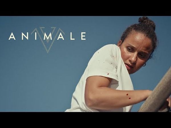 Animale