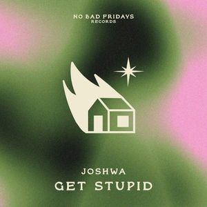 Get Stupid