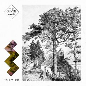 Tachwedd (Single)