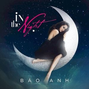 In The Night (Single)