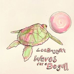 Waves for a Begull