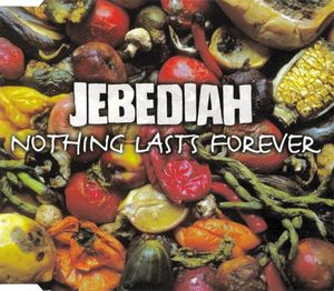 Nothing Lasts Forever (Single)