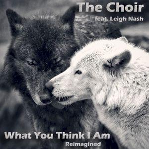 What You Think I Am (Reimagined) (Single)